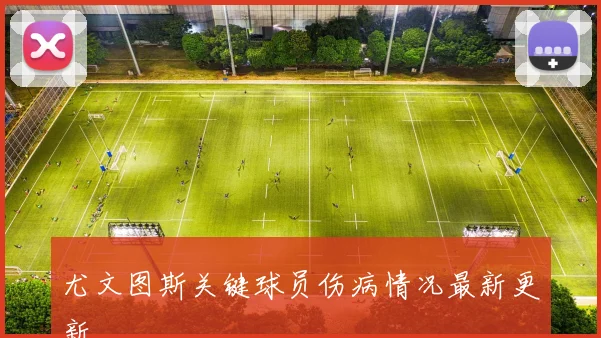 尤文图斯关键球员伤病情况最新更新