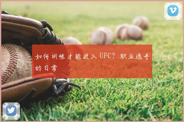 如何训练才能进入 UFC？职业选手的日常