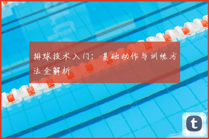 排球技术入门:基础动作与训练方法全解析