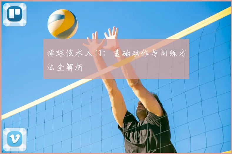 排球技术入门：基础动作与训练方法全解析