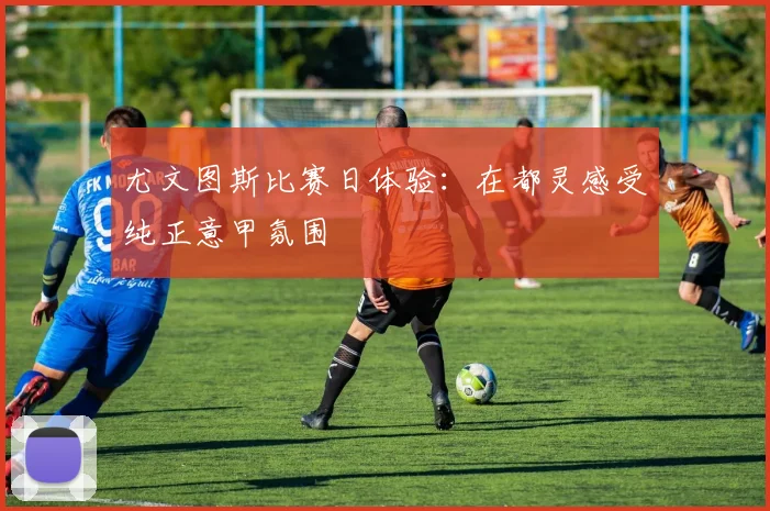 尤文图斯比赛日体验：在都灵感受纯正意甲氛围