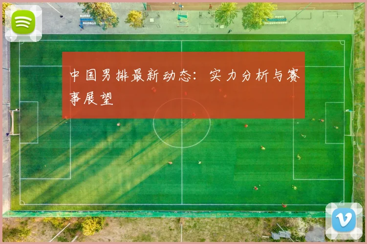 中国男排最新动态：实力分析与赛事展望