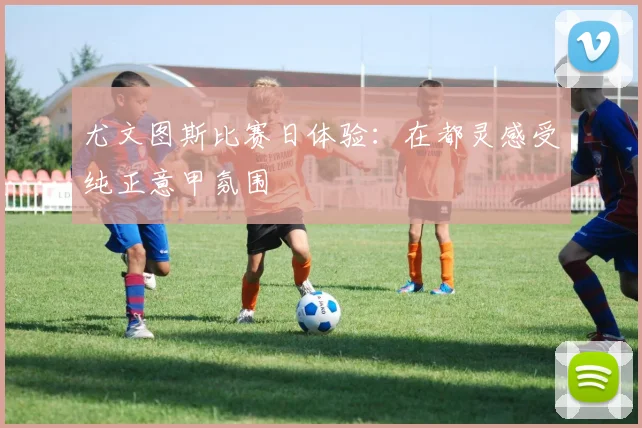 尤文图斯比赛日体验：在都灵感受纯正意甲氛围